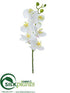 Silk Plants Direct Phalaenopsis Orchid Spray - White - Pack of 12