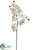 Phalaenopsis Orchid Spray - White - Pack of 12