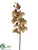 Phalaenopsis Orchid Spray - Green Burgundy - Pack of 12