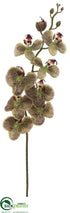 Silk Plants Direct Phalaenopsis Orchid Spray - Violet - Pack of 12