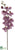 Phalaenopsis Orchid Spray - Violet - Pack of 12