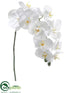 Silk Plants Direct Phalaenopsis Orchid Spray - Cream - Pack of 12