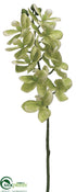 Silk Plants Direct Phalaenopsis Orchid Spray - Green - Pack of 12