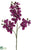 Phalaenopsis Orchid Spray - Orchid - Pack of 12