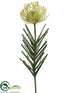 Silk Plants Direct Needle Protea Spray - Green - Pack of 12