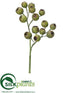 Silk Plants Direct Eucalyptus Pod Spray - Green - Pack of 12