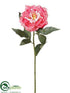 Silk Plants Direct Peony Spray - Beauty - Pack of 12