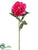 Peony Spray - Rubrum - Pack of 12