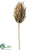 Protea Spray - Chocolate - Pack of 12