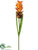 Protea Spray - Terra Cotta - Pack of 12