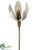 Protea Spray - Gray Light - Pack of 12