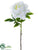 Peony Spray - White - Pack of 12