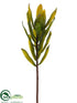 Silk Plants Direct Protea Spray - Green - Pack of 12