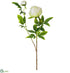 Silk Plants Direct Peony Spray - Cream - Pack of 12