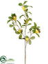 Silk Plants Direct Protea Spray - Yellow - Pack of 12