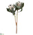 Protea Spray - Beige - Pack of 6