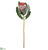 Protea Spray - Burgundy - Pack of 12