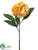 Peony Spray - Yellow Antique - Pack of 12