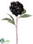 Peony Spray - Black - Pack of 12