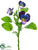 Pansy Spray - Purple Blue - Pack of 24