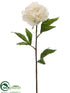 Silk Plants Direct Peony Spray - White - Pack of 12