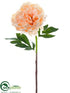 Silk Plants Direct Peony Spray - Peach - Pack of 6