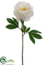 Silk Plants Direct Peony Spray - White - Pack of 6