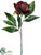 Peony Bud Spray - Chocolate - Pack of 12