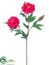 Silk Plants Direct Peony Spray - Fuchsia - Pack of 12