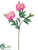 Peony Spray - Pink Two Tone - Pack of 12