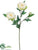 Peony Spray - White Green - Pack of 12