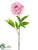 Peony Spray - Pink - Pack of 12