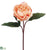 Peony Spray - Apricot - Pack of 12