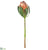 Protea Bud Spray - Orange - Pack of 12