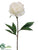 Peony Spray - White - Pack of 12