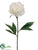 Peony Spray - White - Pack of 12