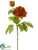 Peony Spray - Cinnamon - Pack of 12