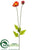 Poppy Spray - Flame - Pack of 12