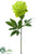 Peony Spray - Green - Pack of 12