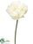 Peony Spray - White - Pack of 12