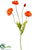 Poppy Spray - Flame - Pack of 12