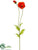 Poppy Spray - Flame - Pack of 12