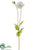 Poppy Spray - White - Pack of 12