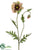 Poppy Spray - Green Burgundy - Pack of 12