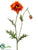 Poppy Spray - Orange Flame - Pack of 12