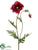 Poppy Spray - Rust - Pack of 12