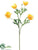 Poppy Spray - Yellow - Pack of 36