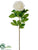 Peony Spray - Ivory - Pack of 12