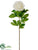 Peony Spray - Ivory - Pack of 12