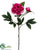 Peony Spray - Fuchsia - Pack of 12